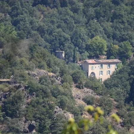 Bed & Breakfast D'hotes - La Grenouille *